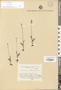 LE 01028975