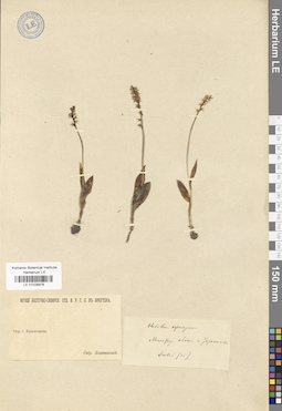 LE 01028976