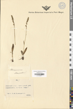 LE 01028977