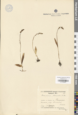 LE 01028978