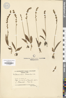 LE 01028979