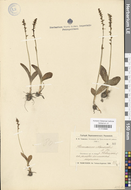LE 01028980