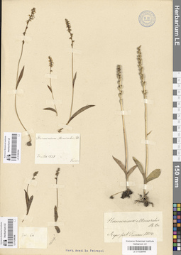 LE 01029046