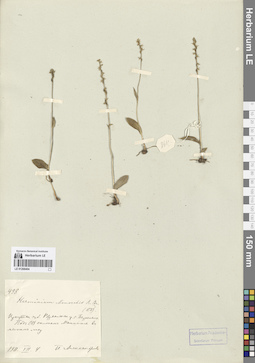 LE 01268404