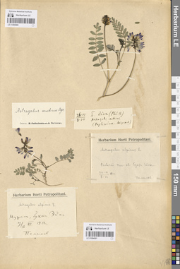 LE 01094501