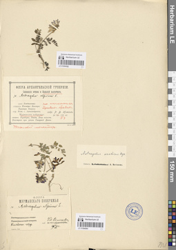 LE 01094564