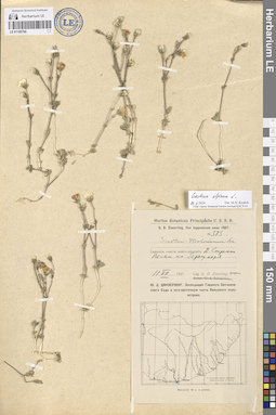 LE 01105790