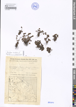 LE 01121969