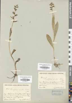 LE 01029117