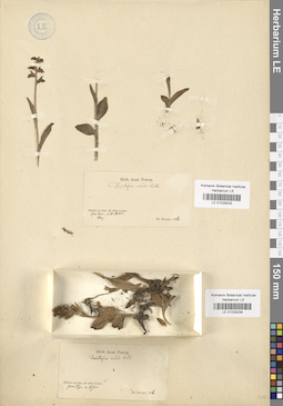 LE 01029233