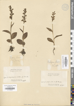 LE 01029247