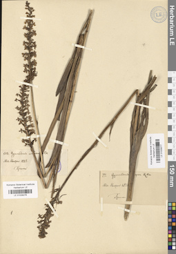 LE 01029276