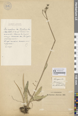 LE 01063803