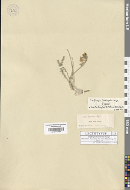 LE 01013883