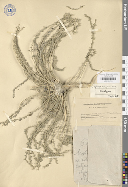 LE 01024714