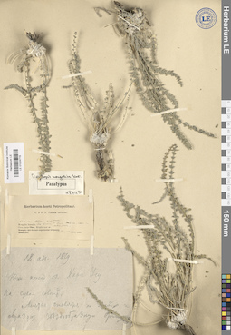 LE 01024715