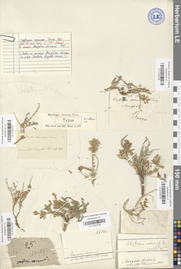 LE 01024735