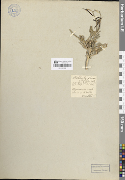 LE 01051398
