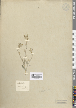 LE 01051399