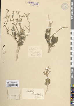 LE 01051801