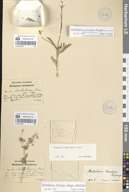 LE 01051853