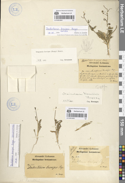 LE 01051854