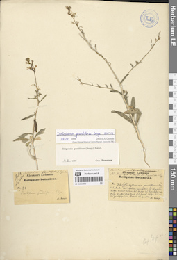 LE 01051856