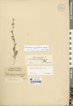 LE 01051857