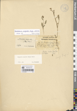 LE 01051860