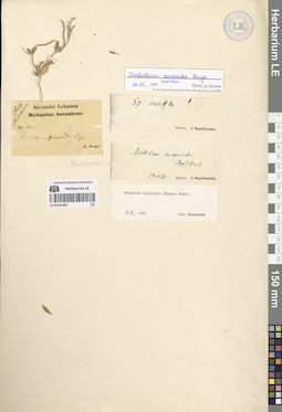 LE 01051861