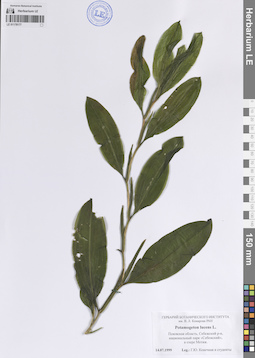 LE 01178177