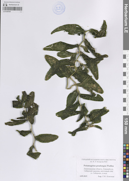 LE 01207836