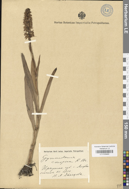 LE 01029482