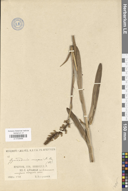 LE 01029495