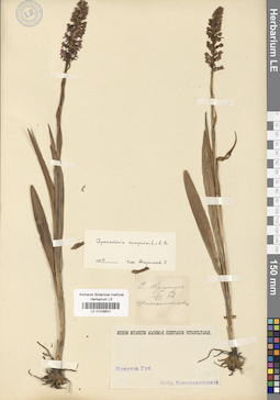 LE 01029501