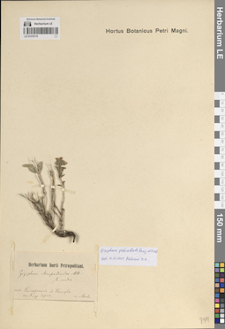 LE 01270718