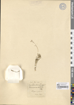 LE 01281019