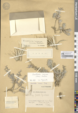 LE 01281046
