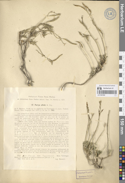 LE 01281062