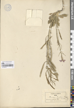 LE 01281072