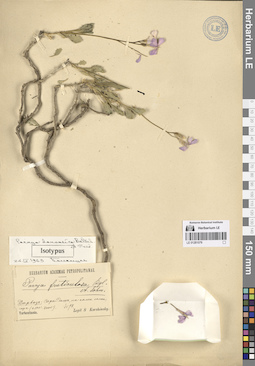 LE 01281079