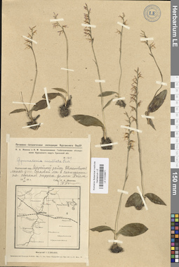 LE 01029971
