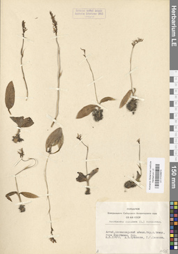LE 01029974