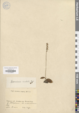 LE 01029976