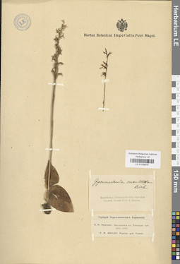 LE 01029979