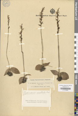LE 01029982