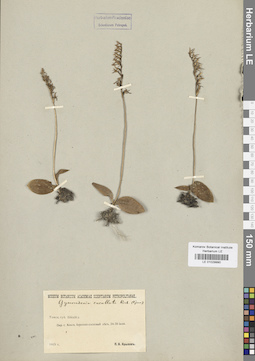 LE 01029990