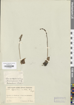 LE 01029992