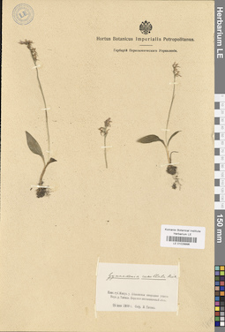 LE 01029996
