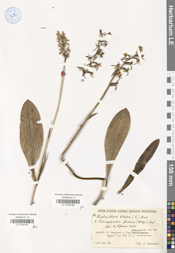 LE 01030187